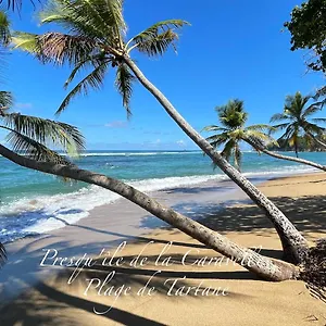 Les De La , Trinité (Tartane) Martinique